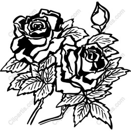 Elegant Rose