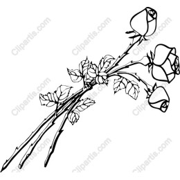 Elegant Rose Bouquet