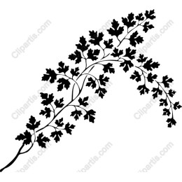 Black Leaf Vine