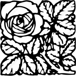 Elegant Rose