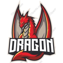 Fierce Dragon