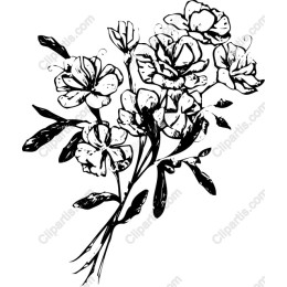 Elegant Hand-Drawn Floral