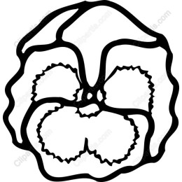 Pansy Flower - Minimalist Floral