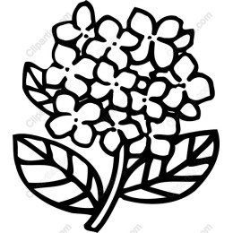 Floral Bouquet