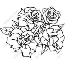 Elegant Hand-Drawn Rose
