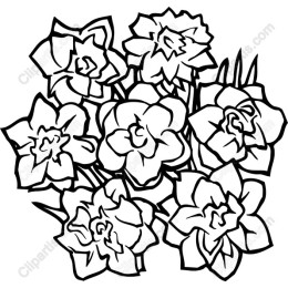 Elegant Floral Bouquet