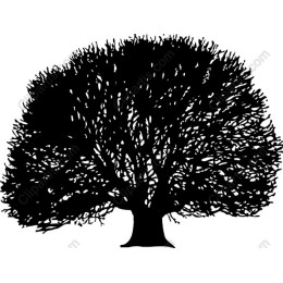 Majestic Tree