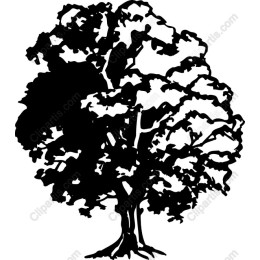 Black Tree
