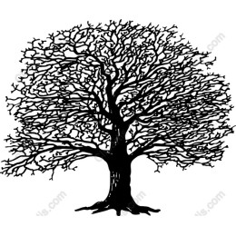 Black Tree