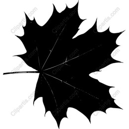 Elegant Black Maple Leaf
