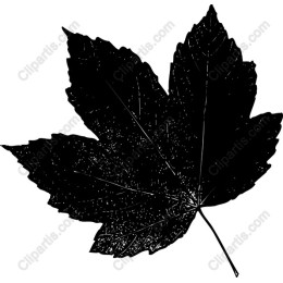 Black Maple Leaf
