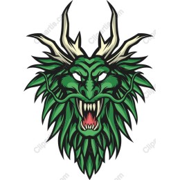 Fierce Dragon Head