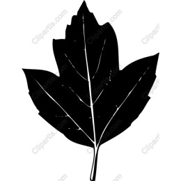 Stylized Leaf