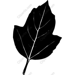 Elegant Black Leaf