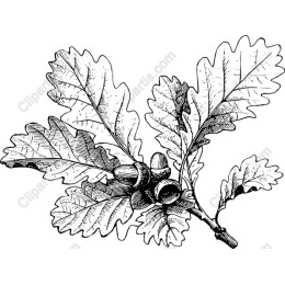 Vintage Oak Leaf