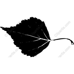 Elegant Black Leaf