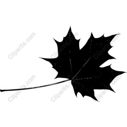 Black Maple Leaf