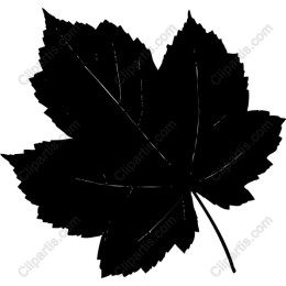 Elegant Maple Leaf