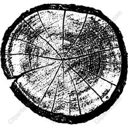 Vintage Wood Slice