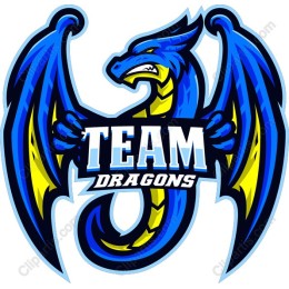 Team Dragons