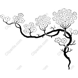 Elegant Blossoming Tree Branch