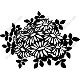 Black and White Daisy Bouquet
