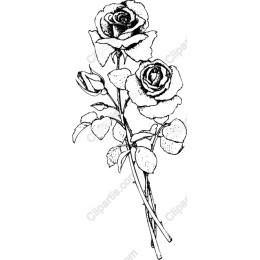 Hand-Drawn Rose Bouquet