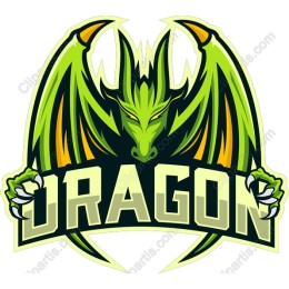 Dynamic Dragon