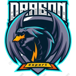Dragon Esport