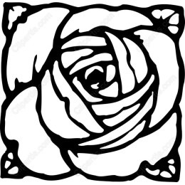 Elegant Rose