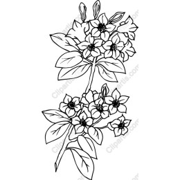 Elegant Floral