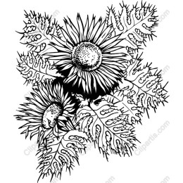 Elegant Hand-Drawn Sunflower