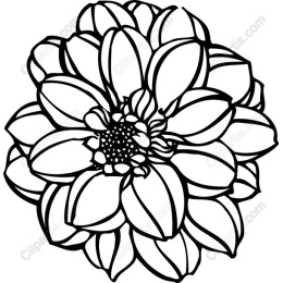 Elegant Flower