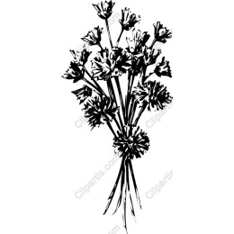 Elegant Black and White Flower Bouquet