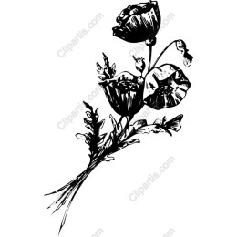 Elegant Poppy Floral