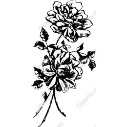 Elegant Black and White Floral Roses