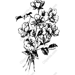 Elegant Black-and-White Floral Bouquet