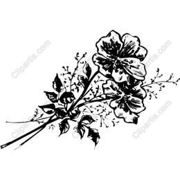 Elegant Black-and-White Floral