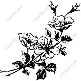 Elegant Floral in Black and White