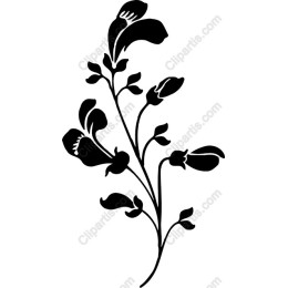 Elegant Floral