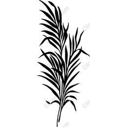 Stylized Fern Leaf