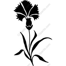 Elegant Iris Flower