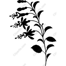 Elegant Floral