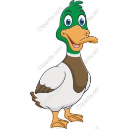 Cartoon Duck