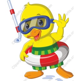 Snorkeling Duck