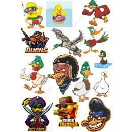 Whimsical Duck Bundle