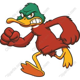 Energetic Duck
