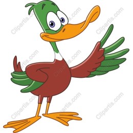 Colorful Cartoon Duck
