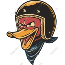 Rugged Duck