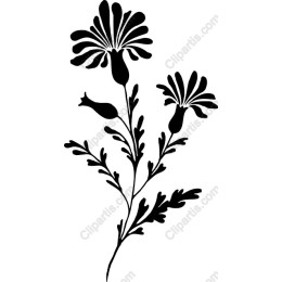 Black Floral